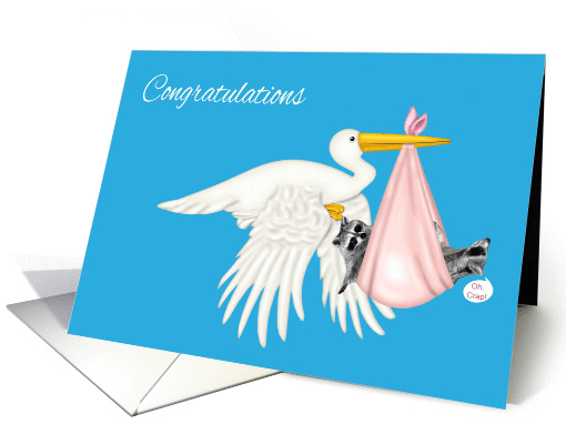 Congratulations, Twin Girls, Stork with raccoons in pink blanket card