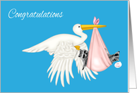 Congratulations, Twin Girls, Stork with raccoons in pink blanket card
