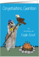 Congratulations to Grandson on Becoming Eagle Scout with a Raccoon card