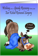 Get Well, Ear Keloid Removal Surgery, sick horse with a blue blanket card