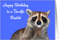 Birthday To Dentist, Raccoon smiling with dentures on blue card
