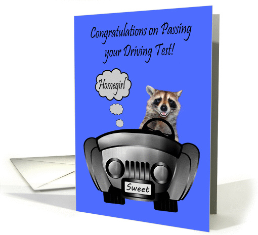 Congratulations, Passing Driving Test, Homegirl, Raccoon... (1277504)