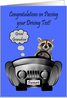 Congratulations, Passing Driving Test, Great Grandson, Raccoon in car card