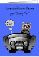 Congratulations, Passing Driving Test, Son, Raccoon driving a car card