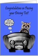 Congratulations, Passing Driving Test from All Of Us, Raccoon driving card