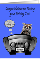Congratulations, Passing Driving Test From Both Of Us, Raccoon driving card