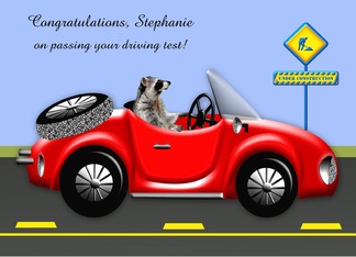 Congratulations on Passing Driving Test Custom Name Card with Raccoon