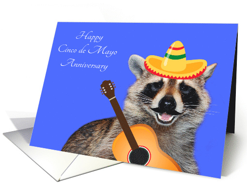 Wedding Anniversary on Cinco de Mayo a Raccoon with a Mustache card