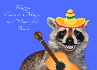 Cinco de Mayo To Aunt, raccoon with mustache wearing sombrero