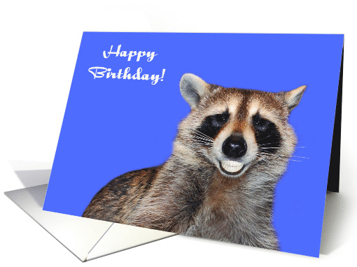 Birthday Card with a Raccoon Smiling Showing off his... (1286556)