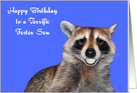 Birthday To Foster Son, Raccoon smiling with pearly white dentures card