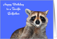 Birthday To Godfather, Raccoon smiling with pearly white dentures card