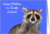 Birthday To Husband, Raccoon smiling with pearly white dentures, blue card