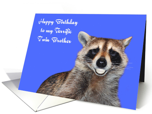Birthday to Twin Brother, Raccoon smiling with pearly... (1291184)