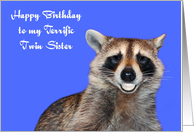 Birthday To Twin Sister, Raccoon smiling with pearly white dentures card