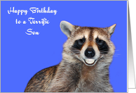 Birthday To Son, Raccoon smiling with pearly white dentures on blue card