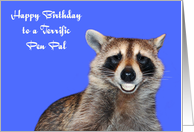 Birthday To Pen Pal, Raccoon smiling with pearly white dentures, blue card