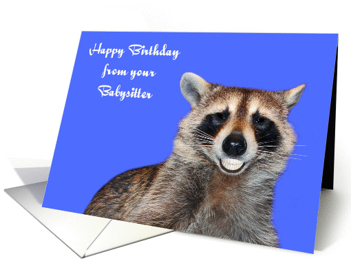Birthday From Babysitter, Raccoon smiling with pearly... (1292252)