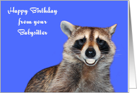 Birthday From Babysitter, Raccoon smiling with pearly white dentures card