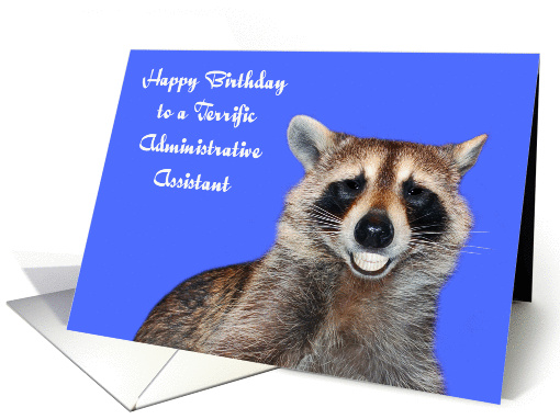Birthday To Administrative Assistant, Raccoon smiling,... (1292350)