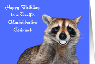 Birthday To Administrative Assistant, Raccoon smiling, white dentures card