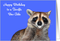 Birthday To Bus Aide, Raccoon smiling with pearly white dentures, blue card