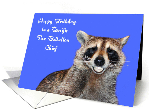 Birthday To Fire Battalion Chief, Raccoon smiling with... (1292380)