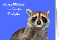 Birthday To Firefighter, Raccoon smiling with pearly white dentures card
