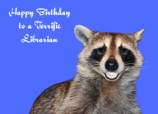 Birthday To Librarian, Raccoon smiling with pearly white dentures
