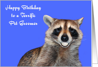 Birthday To Pet Groomer, Raccoon smiling with pearly white dentures card