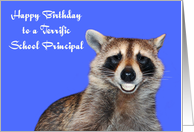 Birthday To School Principal, Raccoon smiling, pearly white dentures card