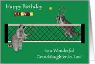 Birthday to Granddaughter-in-Law with Raccoons Playing Tennis card