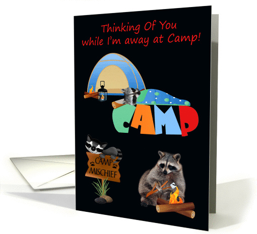 Thinking Of You from Child Away At Summer Camp, raccoons camping card