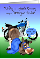 Get Well from a Motorcycle Accident with a Horse and a Blue Blanket card