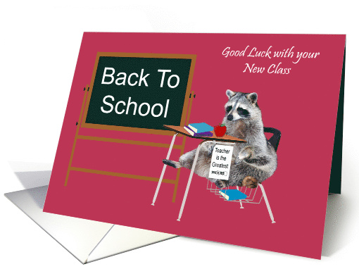 Back to School to teacher, general, Raccoon sitting at a... (1313946)