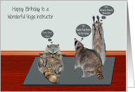 Birthday to Yoga Instructor General Three Raccoons attempting Yoga card