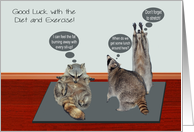 Encouragement on Diet with Raccoons Attempting to Exercise on Mat card