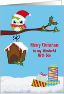 Christmas to Birth Son, Cute owl sitting on a tree limb with holly card