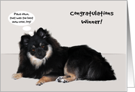 Congratulations, dog...