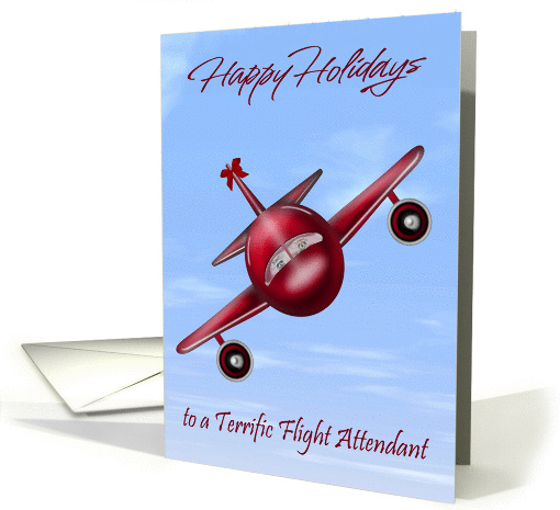 Happy Holidays to Flight Attendant, general, raccoons... (1346198)