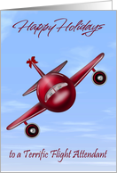Happy Holidays to Flight Attendant, general, raccoons flying a plane card
