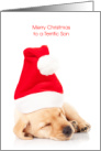 Christmas to Son a cute Labrador Sleeping Wearing a Santa Hat card
