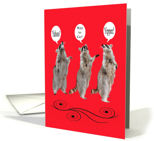 Congratulations with Raccoons on a Red and Black Swirl Background card