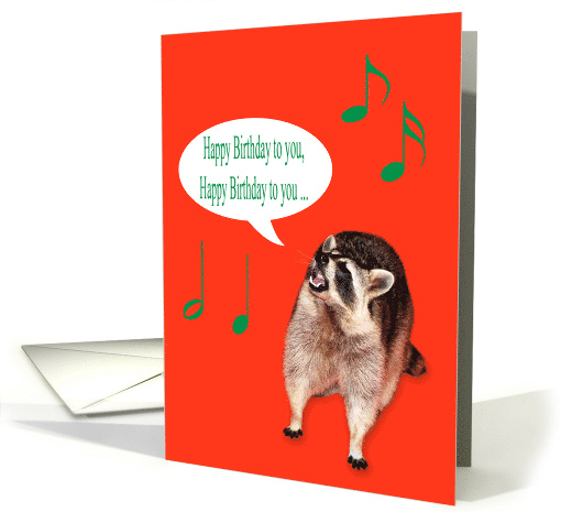 Birthday with an Adorabe Raccoon Singing Surounded by... (559484)