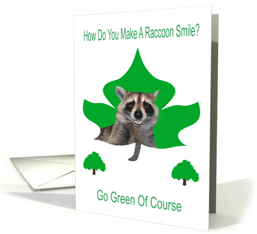 Earth Day, how to make a raccoon smile, go green, raccoon... (565687)