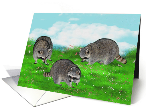 Any occasion Blank Note Card, Raccoons in a pretty spring setting card