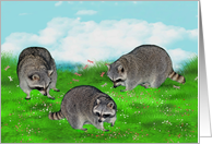 Any occasion Blank Note Card, Raccoons in a pretty spring setting card