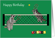 Birthday Card with Raccoons Playing Tennis with Rackets and a Ball card