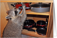 Birthday with an Adorable Raccoon Steeling Pans From a Cabinet card