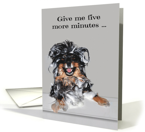 Wedding Anniversary to Husband with a Soapy Pomeranian in Bathtub card